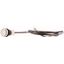 C22-DR-W-K10-P65 Pushbutton, classic, flat, maintained, 1 N/O, white, cable (black) with non-terminated end, 4 pole, 3.5 m thumbnail 3