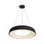 BLACK PENDANT 80W WW 230V thumbnail 1