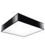 CEILING LAMP HORUS 45 BLACK E27 3X60W IP20 thumbnail 1