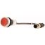 C22-D-R-K01-P1 Pushbutton, Flat, momentary, 1 NC, Cable (black) with M12A plug, 4 pole, 0.2 m, red, Blank, Bezel: titanium thumbnail 3