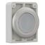 M30C-FDRL-W Illuminated pushbutton actuator, RMQ-Titan, Flat, maintained, White, Blank, Metal bezel thumbnail 14