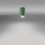 Ceiling lamp LAGOS 10 olive green thumbnail 3