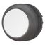 M22S-DR-W Pushbutton, RMQ-Titan, Flat, maintained, White, Blank, Bezel: black thumbnail 2