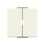 Rocker 2 gang switch/push thumbnail 1