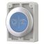 M30C-FD-B-X217 Pushbutton, RMQ-Titan, Flat, momentary, Blue, inscribed, Metal bezel thumbnail 4