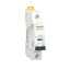 Miniature circuit-breaker, Acti9 iC60H, 1P, 6 A, D curve, 10000 A (IEC 60898-1), 15 kA (IEC 60947-2) thumbnail 5