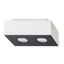 SPOT MONO 2 WHITE GU10 2X40W IP20 thumbnail 1