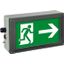 Ex-escape sign luminaires EX-LITE V-CG-S for emergency light function for zone 1/21, Pictogram: DIN 4844, Arrow: 3 Clock thumbnail 2