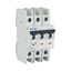 Miniature circuit breaker (MCB), 30 A, 3p, characteristic: D thumbnail 18