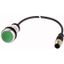 C22-D-G-K10-P3 Pushbutton, Flat, momentary, 1 N/O, Cable (black) with M12A plug, 4 pole, 0.5 m, green, Blank, Bezel: titanium thumbnail 1