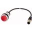 C22-DL-R-K01-24-P3 Illuminated pushbutton actuator, Flat, momentary, 1 NC, Cable (black) with M12A plug, 4 pole, 0.5 m, LED Red, red, Blank, 24 V AC/DC, Bezel: titanium thumbnail 1