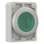 M30C-FDRL-G-X1 Illuminated pushbutton actuator, RMQ-Titan, Flat, maintained, green, inscribed, Metal bezel thumbnail 13