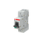 MD99 thumbnail 4