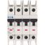 Miniature circuit breaker (MCB), 2 A, 4p, characteristic: C, ring tongue thumbnail 2