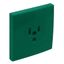 SAF C.PLATE F/EARTH SOCKET (USA NEMA) GREEN thumbnail 2