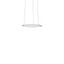 FLATLINER SLIM, 19 W, 1700 lm, 840, white, DALI Pendant luminaires, D  thumbnail 2