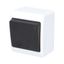 GALATEA Button symbol light No. 1/0 10A 230V on plaster IP44 white/black thumbnail 2