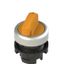 Long handle selector, 2 positions orange with marking thumbnail 1