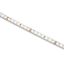 LED STRIP 24V WW 5m ROLL 9,6W/m IP20 thumbnail 1