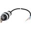 C22-WS3-MS1-K20-P62 Key-operated actuator, RMQ compact solution, momentary, 2 N/O, Cable (black) with non-terminated end, 4 pole, 1 m, 3 positions, MS1, Bezel: titanium thumbnail 4