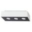 SPOT MONO 3 WHITE GU10 3X40W IP20 thumbnail 1