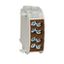 AL/CU-Main branch terminal, 25mmý, 1-pole insulated brown thumbnail 2