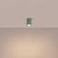 Ceiling lamp KARBON 10 sage thumbnail 3
