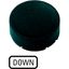 M22-XDH-S-GB4 Button plate, raised black, DOWN thumbnail 6
