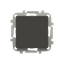 Blank plate thumbnail 1