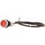 C22-D-R-K01-P65 Pushbutton, Flat, momentary, 1 NC, Cable (black) with non-terminated end, 4 pole, 3.5 m, red, Blank, Bezel: titanium thumbnail 3