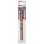 Metal drill bits HSS-TiN, DIN 338 12 x 101 x 151 mm 1 pcs. thumbnail 2