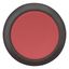 Pushbutton, Flat, maintained, 1 NC, 1 N/O, Screw connection, red, Blank, Bezel: black thumbnail 9