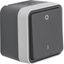 2-pole switch with housing, W.1, grey thumbnail 1