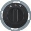 Blind switch 2-prong + center piece, Series R.classic white thumbnail 1