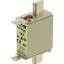 Fuse-link, LV, 25 A, AC 690 V, NH000, gL/gG, IEC, dual indicator, live gripping lugs thumbnail 2