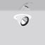 GOLAS mini, 29 W, 3500 lm, 927, white, DALI Recessed projectors, D 143 thumbnail 1