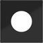 Central plate for push button/light signal E10, A.x/C.x, night black glass thumbnail 1