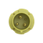 263P4 Industrial Plug thumbnail 2