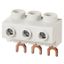 Feed-in terminal, 3-pole, 25 sqmm thumbnail 3