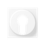 Centre plate A528PLWWM thumbnail 1