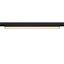 IN-LINE 44 48V TRACK, opal, DALI, spot, black / black, 14W, 1180lm, 3000K, CRI90, 95° thumbnail 3