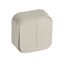 2 gang two-way switch Forix- surface mounting - IP 2X - 10 AX - 250 V~ - ivory thumbnail 1