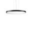 TRIONA round, 76 W, 6800 lm, 827-865, anthracite, smart+free Pendant l thumbnail 1