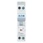 Miniature circuit breaker (MCB), 16 A, 1p+N, characteristic: B thumbnail 12