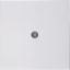 Centre plate for cable out., S.1/B.3/B.7, p. white glossy thumbnail 1