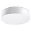 CEILING LAMP ARENA 45 WHITE E27 3X60W IP20 thumbnail 2