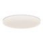 Vic 29 4000K | Ceiling light | White thumbnail 1