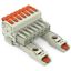 1-conductor female connector lever Push-in CAGE CLAMP® light gray thumbnail 1