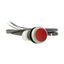 C22-D-R-K01-P65 Pushbutton, Flat, momentary, 1 NC, Cable (black) with non-terminated end, 4 pole, 3.5 m, red, Blank, Bezel: titanium thumbnail 16