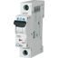 PL6-B63/1 Miniature circuit breaker (MCB), 63 A, 1p, characteristic: B thumbnail 2